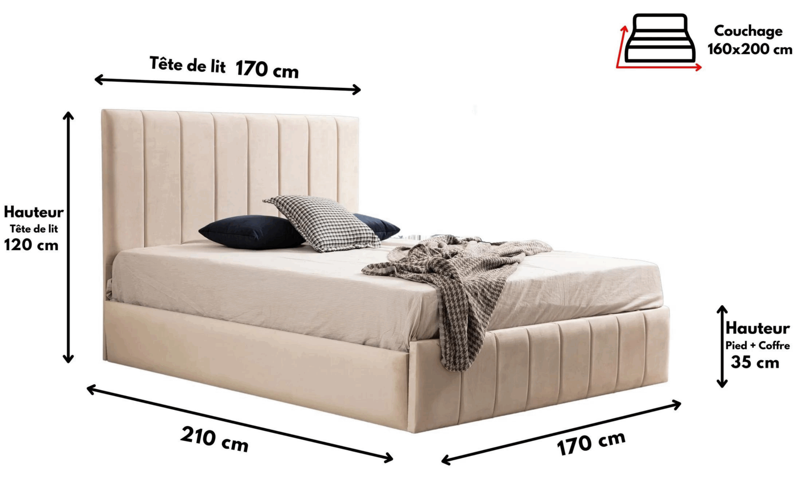 POLO BEIGE – Image 3